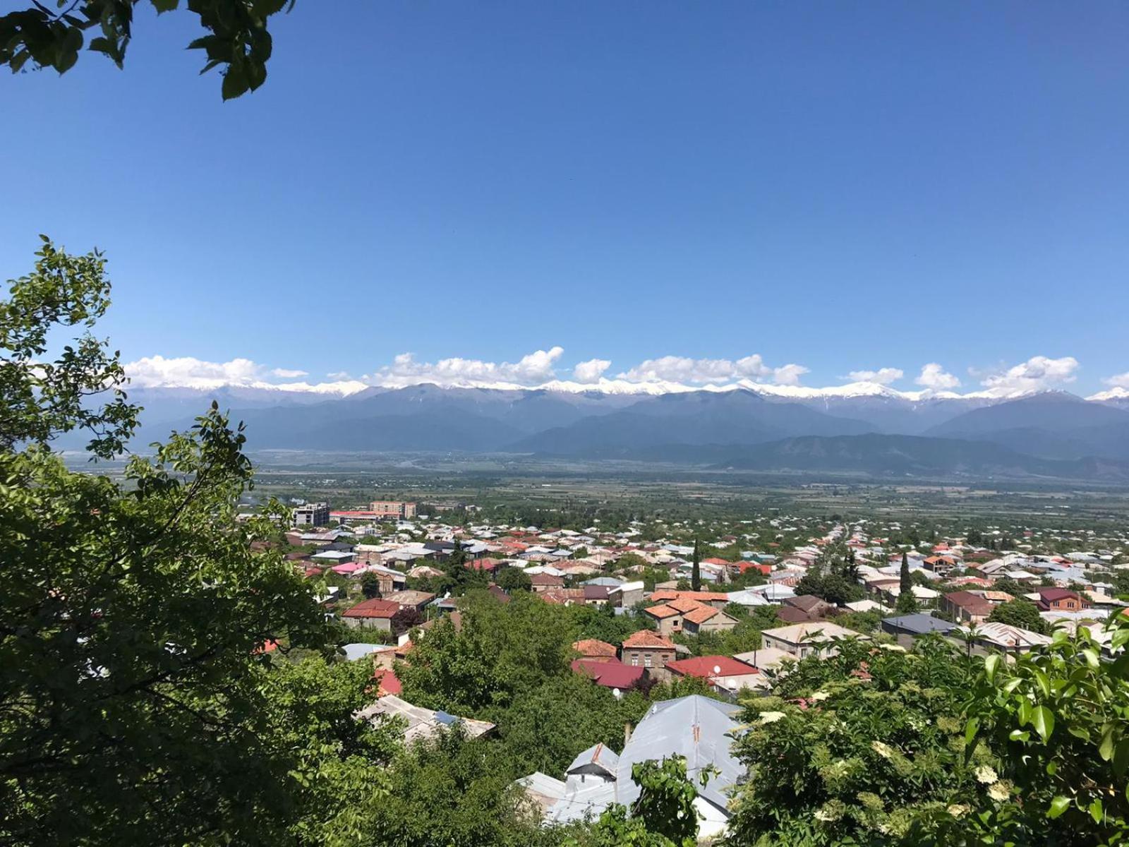Tinikos Guest House Telavi Exterior photo