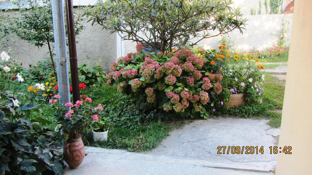 Tinikos Guest House Telavi Exterior photo