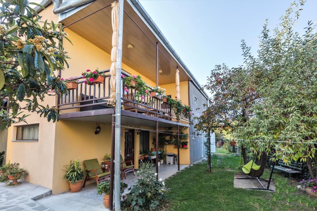 Tinikos Guest House Telavi Exterior photo