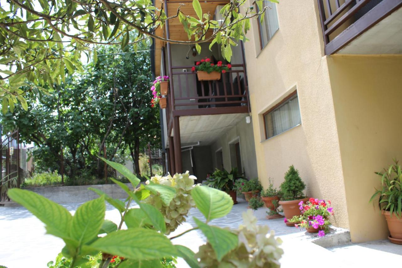 Tinikos Guest House Telavi Exterior photo